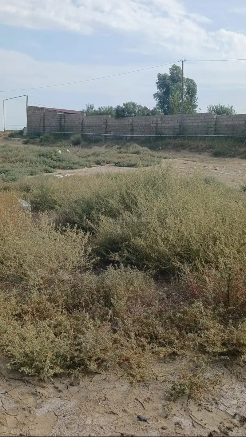 10 sot torpaq satılır, Bakı, Sabunçu r., Kürdəxanı