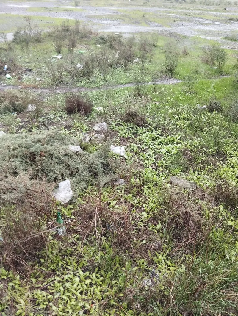 Torpaq kirayə verilir — Saatlı - şəkil 2