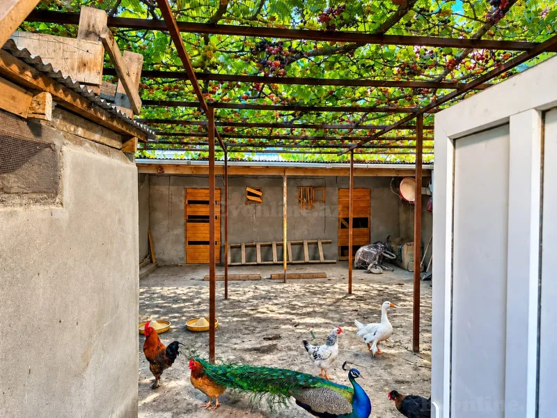 5 otaqlı həyət evi satılır — Şağan, Bakı - şəkil 12