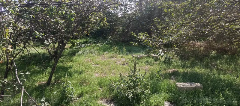 Torpaq satılır — Digah, Bakı