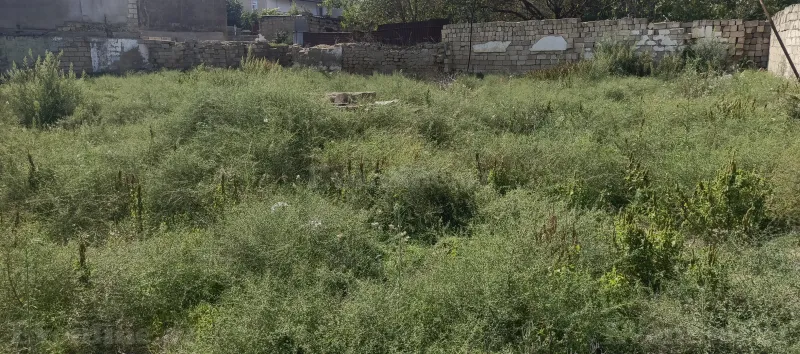 Torpaq satılır — Digah, Bakı - şəkil 2