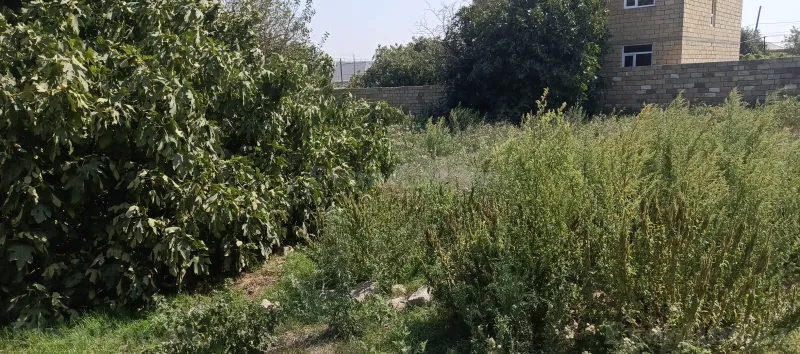 Torpaq satılır — Digah, Bakı - şəkil 4