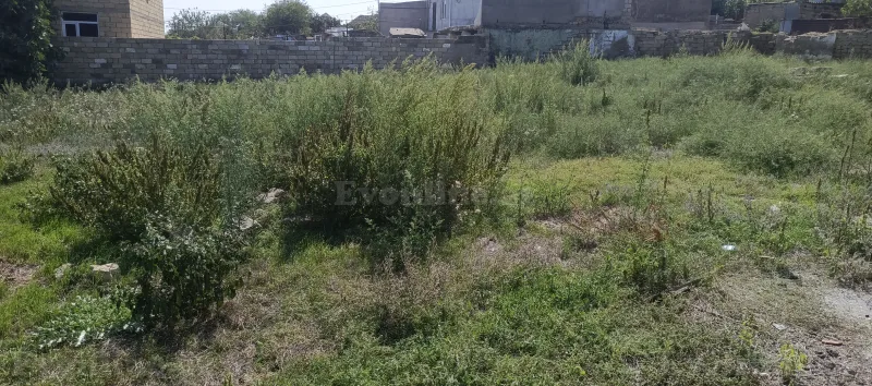 Torpaq satılır — Digah, Bakı - şəkil 5