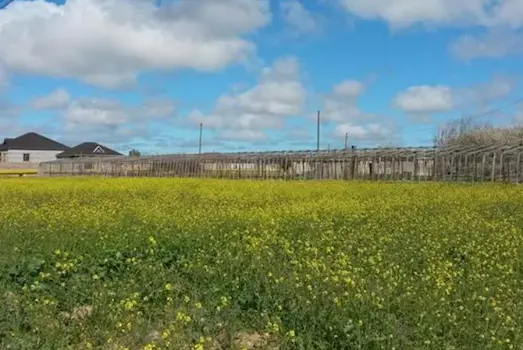 Torpaq sahəsinin hüquqi əsas olmadan özbaşına tutulması hansı məsuliyyətə səbəb olur?